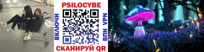 ссылка на мегу как войти  наркота  Котово  Псилоцибиновые грибы ЛСД 